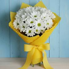 Букет цветов из:  Хризантемы в Щемилово