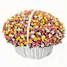 Премиум букет из: Розы #REPLACE_PRED# Щемилово